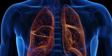 Akciğerlere iyi gelen meyveler