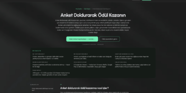 CashyGo anket görevleri sayfası ekran görüntüsü