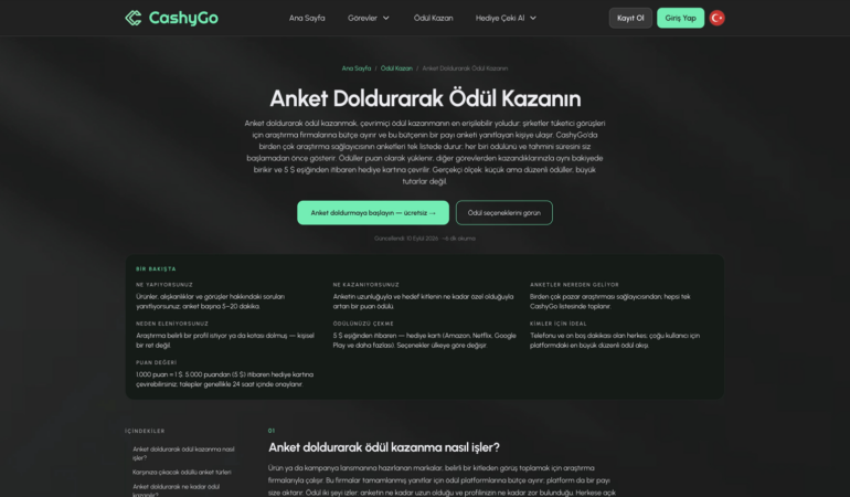CashyGo anket görevleri sayfası ekran görüntüsü